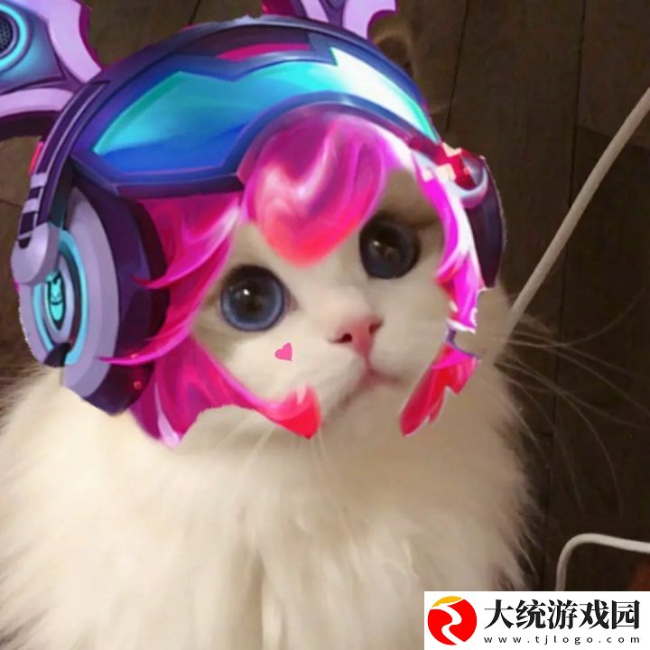 王者荣耀五黑头像猫咪