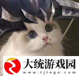 王者荣耀五黑头像猫咪