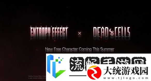 双厨狂喜!苍翼
