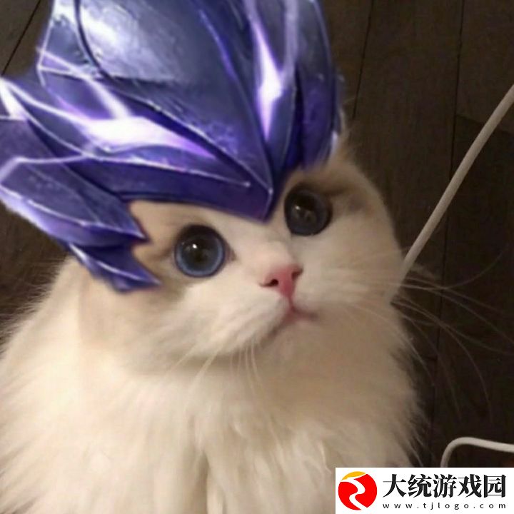 王者荣耀五黑头像猫咪
