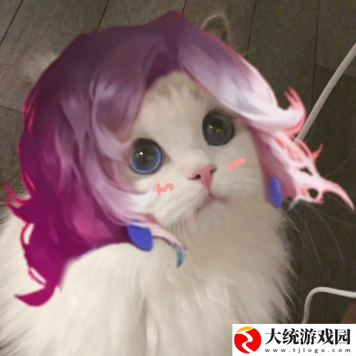 王者荣耀五黑头像猫咪