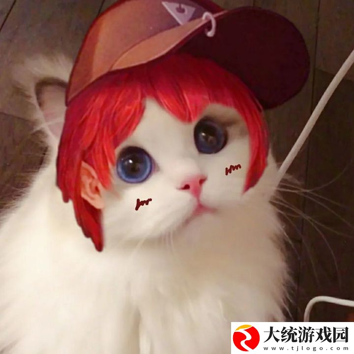 王者荣耀五黑头像猫咪