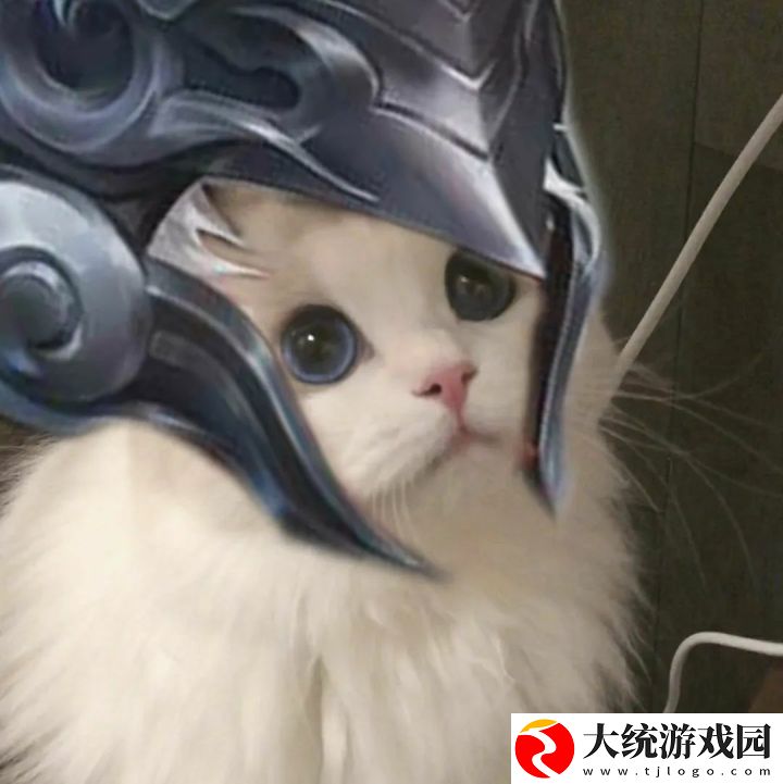 王者荣耀五黑头像猫咪