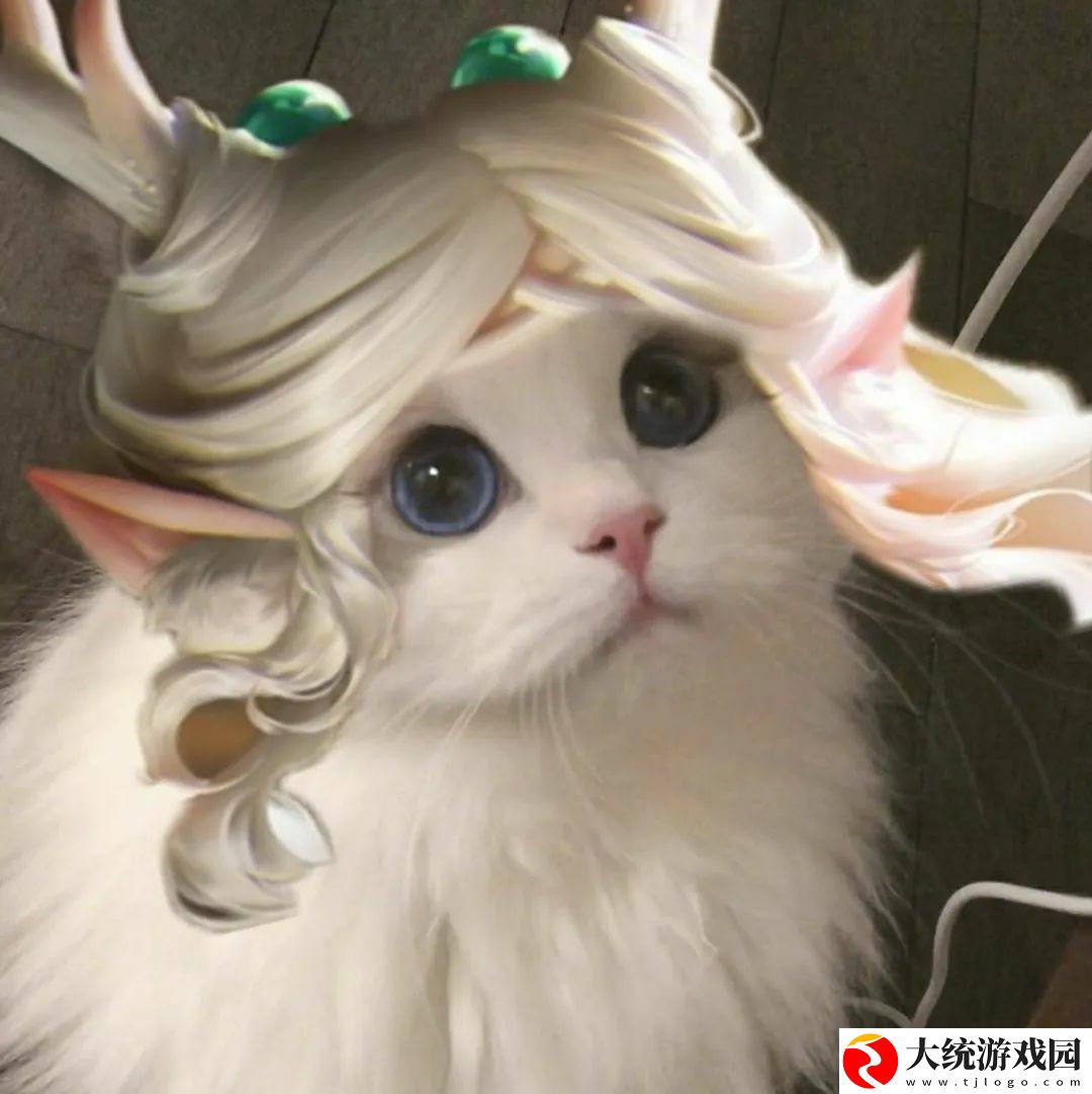 王者荣耀五黑头像猫咪