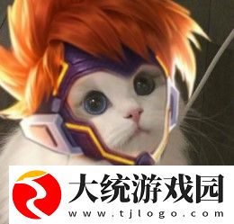 王者荣耀五黑头像猫咪