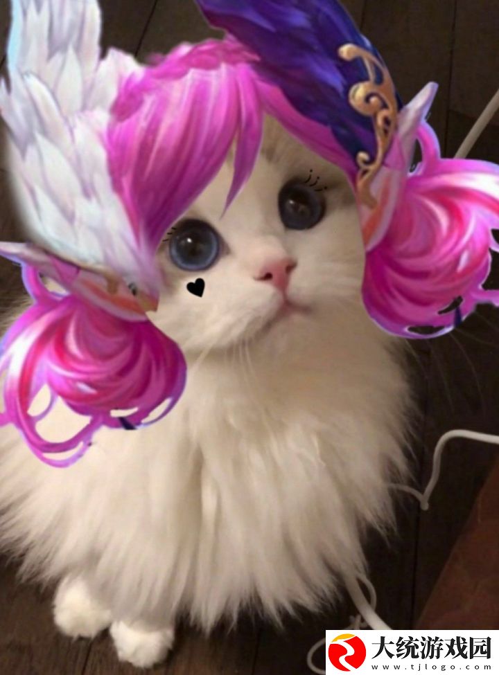 王者荣耀五黑头像猫咪