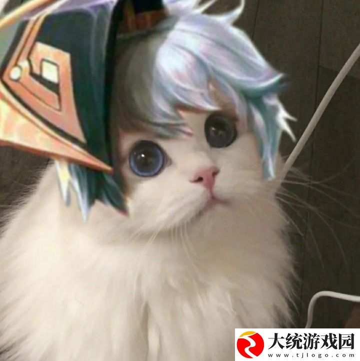 王者荣耀五黑头像猫咪