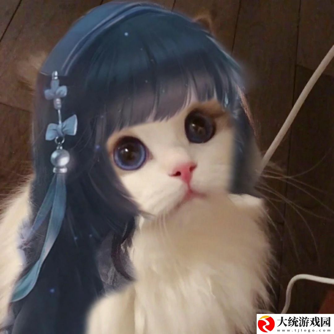 王者荣耀五黑头像猫咪