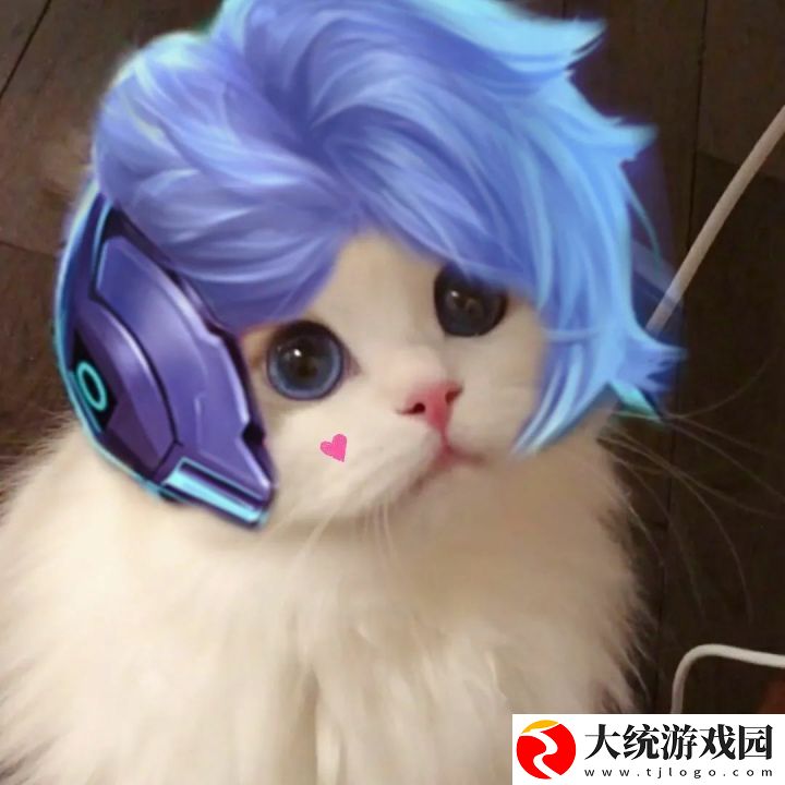 王者荣耀五黑头像猫咪