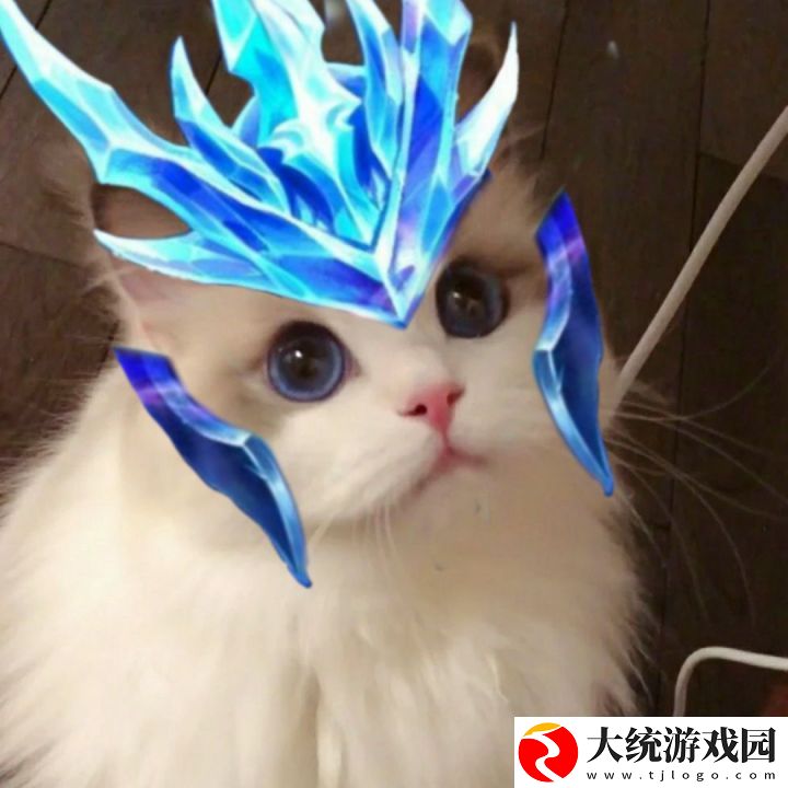 王者荣耀五黑头像猫咪