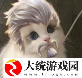 王者荣耀五黑头像猫咪