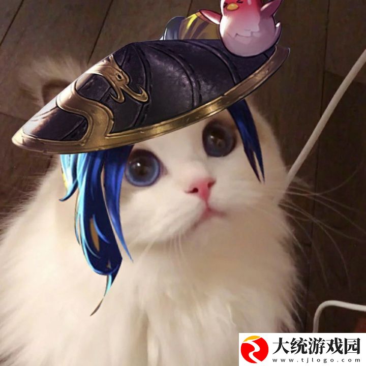 王者荣耀五黑头像猫咪