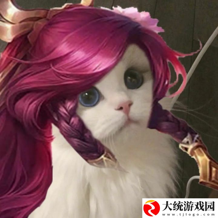 王者荣耀五黑头像猫咪