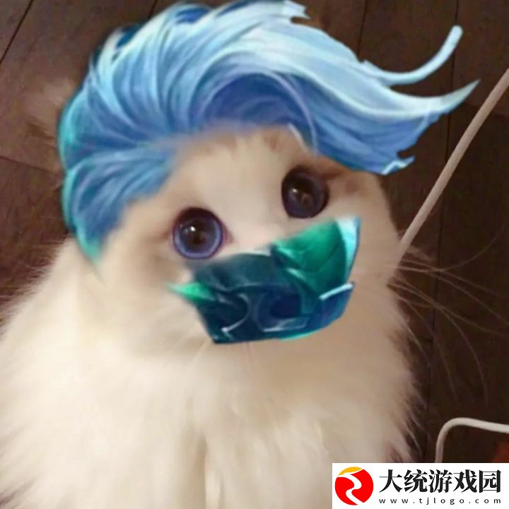 王者荣耀五黑头像猫咪