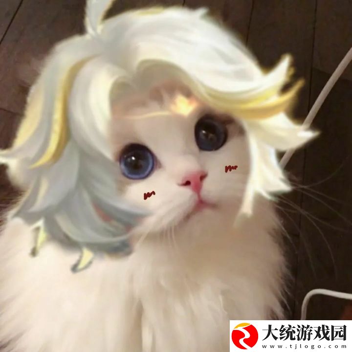 王者荣耀五黑头像猫咪