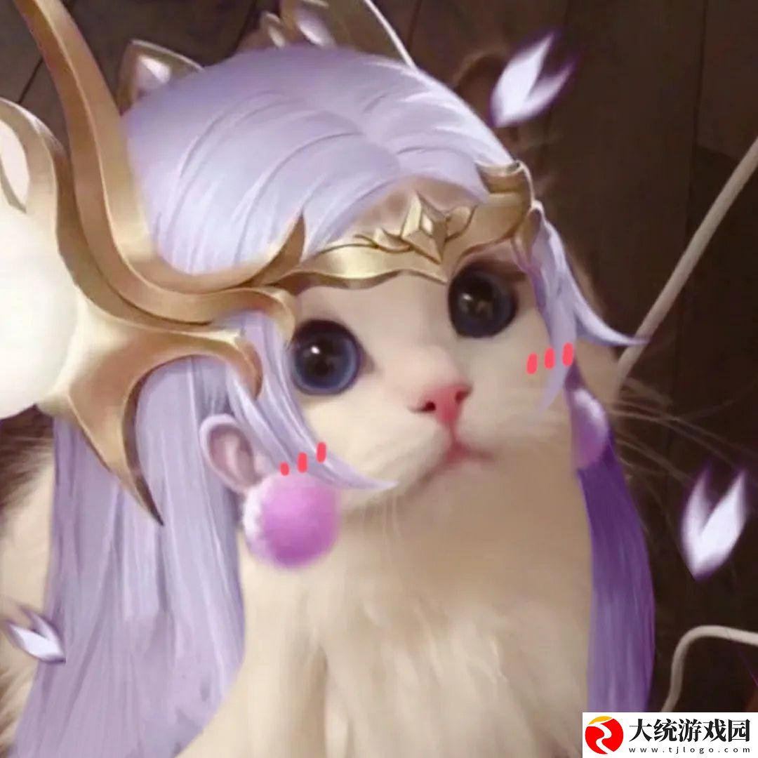 王者荣耀五黑头像猫咪
