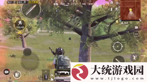 和平精英圣域宝箱在哪里