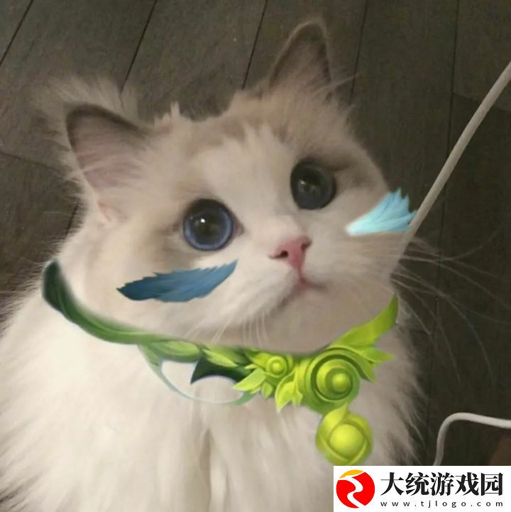 王者荣耀五黑头像猫咪
