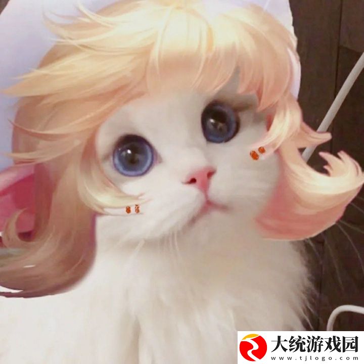 王者荣耀五黑头像猫咪