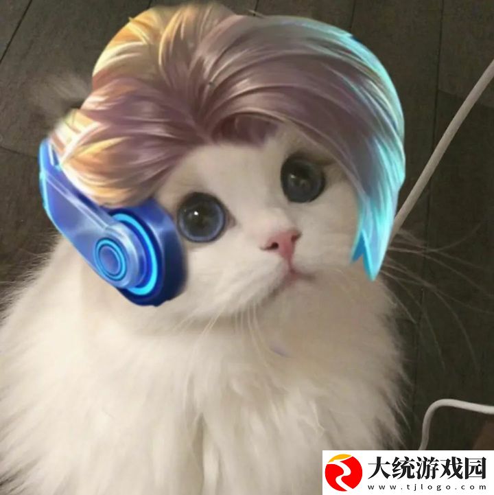 王者荣耀五黑头像猫咪