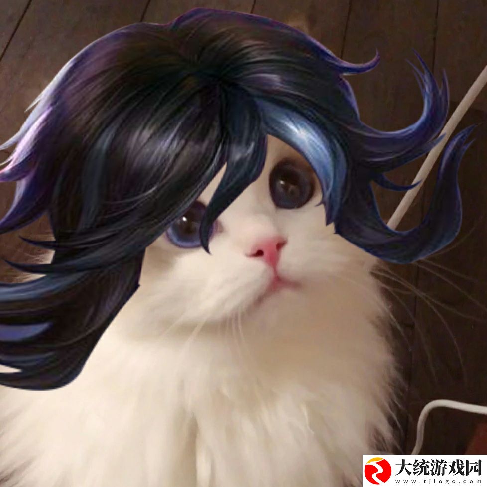 王者荣耀五黑头像猫咪