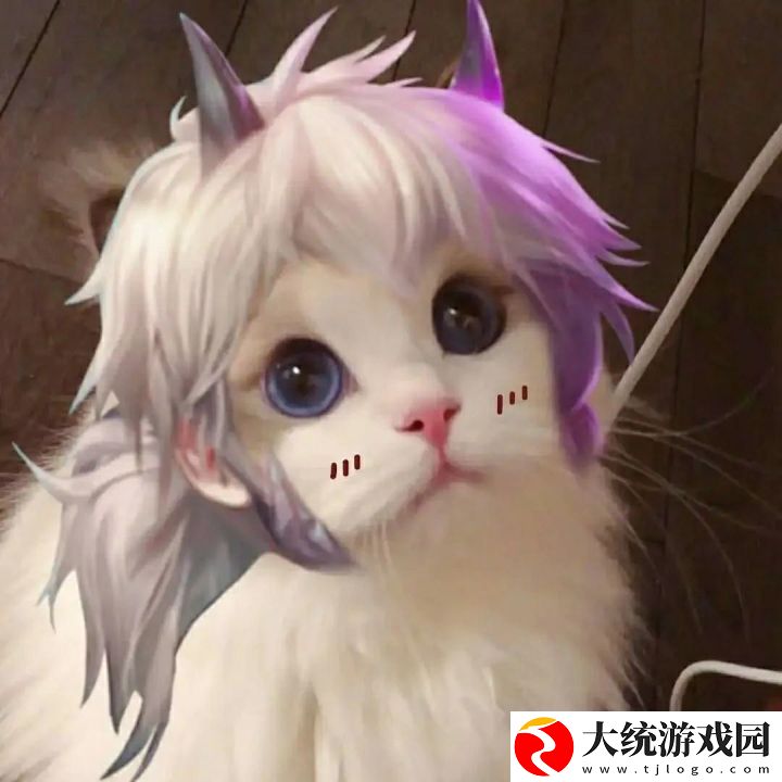 王者荣耀五黑头像猫咪