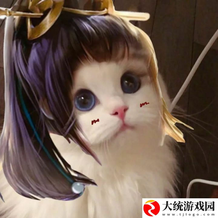 王者荣耀五黑头像猫咪