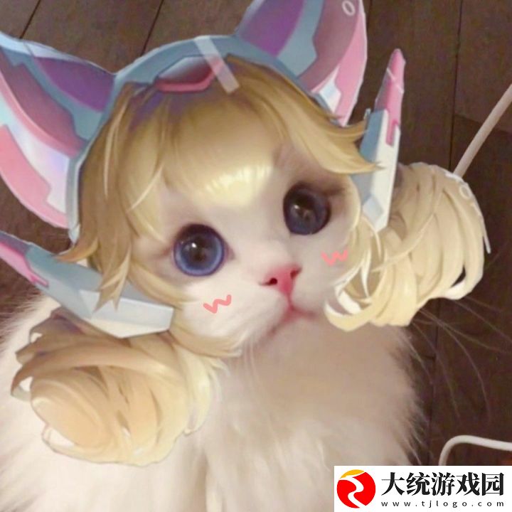 王者荣耀五黑头像猫咪
