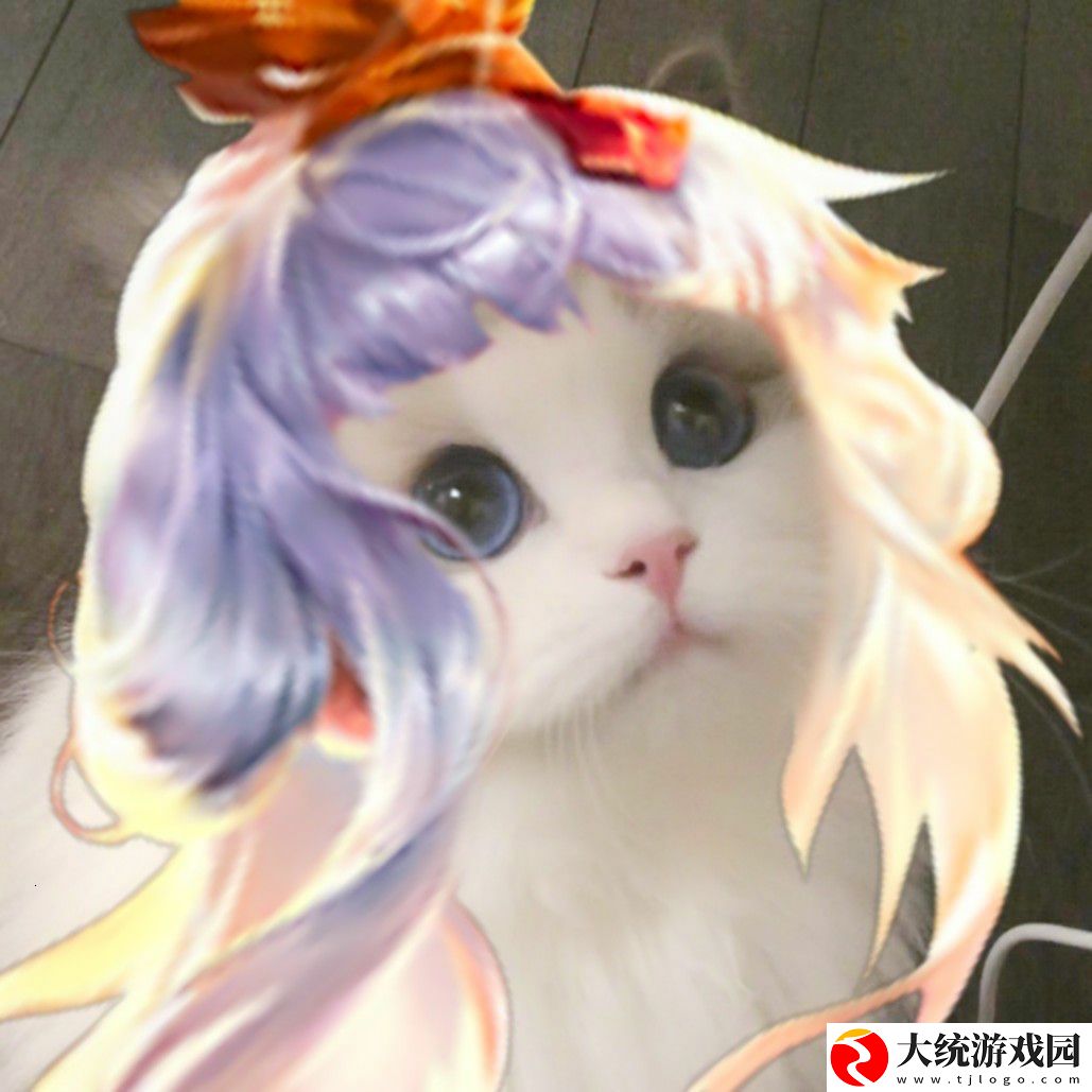王者荣耀五黑头像猫咪