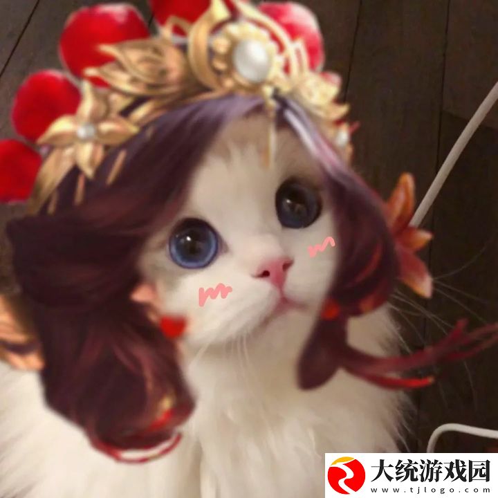 王者荣耀五黑头像猫咪