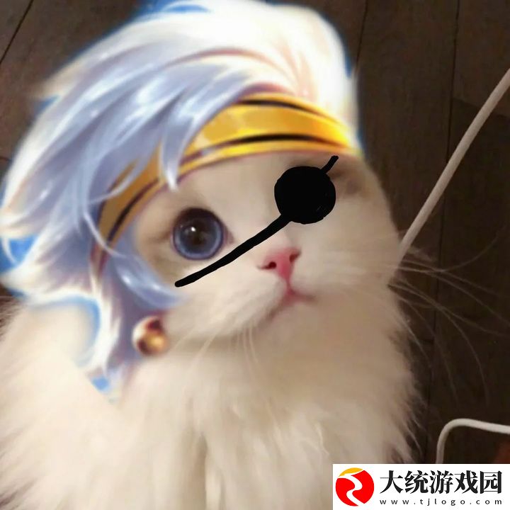王者荣耀五黑头像猫咪