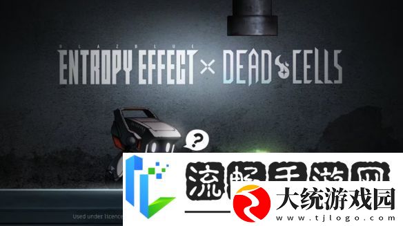 双厨狂喜!苍翼