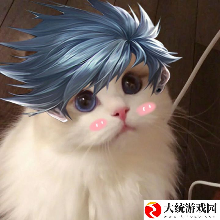 王者荣耀五黑头像猫咪
