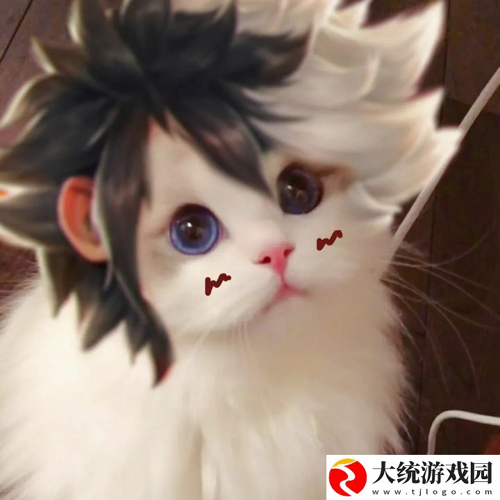 王者荣耀五黑头像猫咪