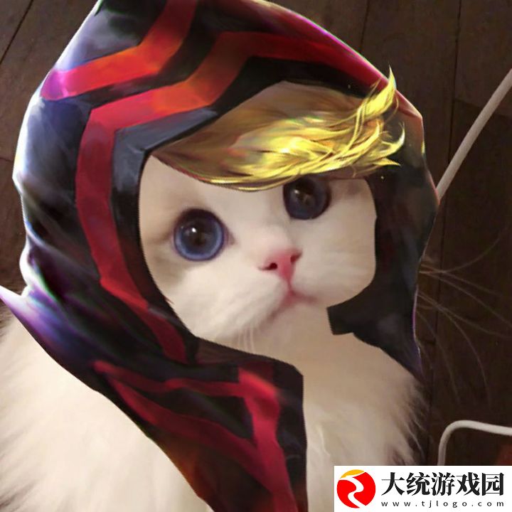 王者荣耀五黑头像猫咪