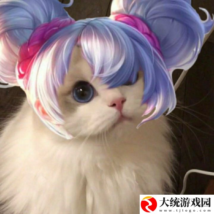 王者荣耀五黑头像猫咪