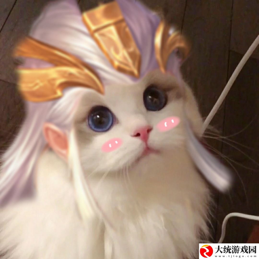 王者荣耀五黑头像猫咪