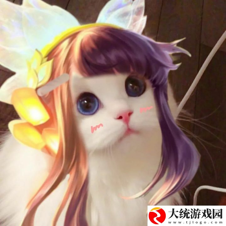王者荣耀五黑头像猫咪