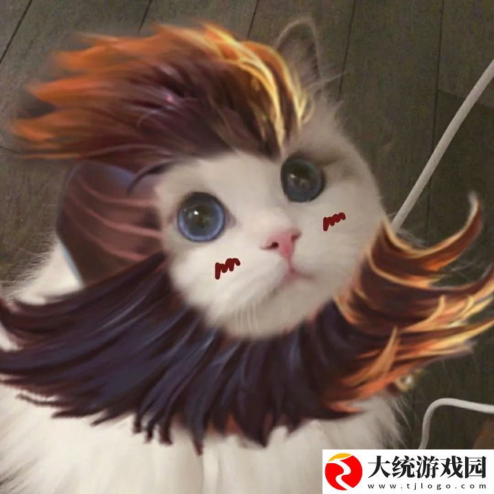 王者荣耀五黑头像猫咪