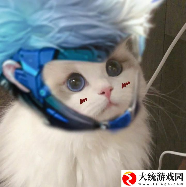 王者荣耀五黑头像猫咪