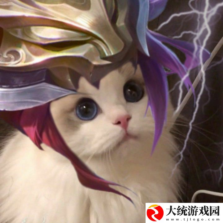 王者荣耀五黑头像猫咪