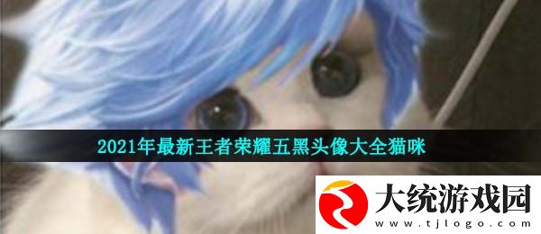 王者荣耀五黑头像猫咪