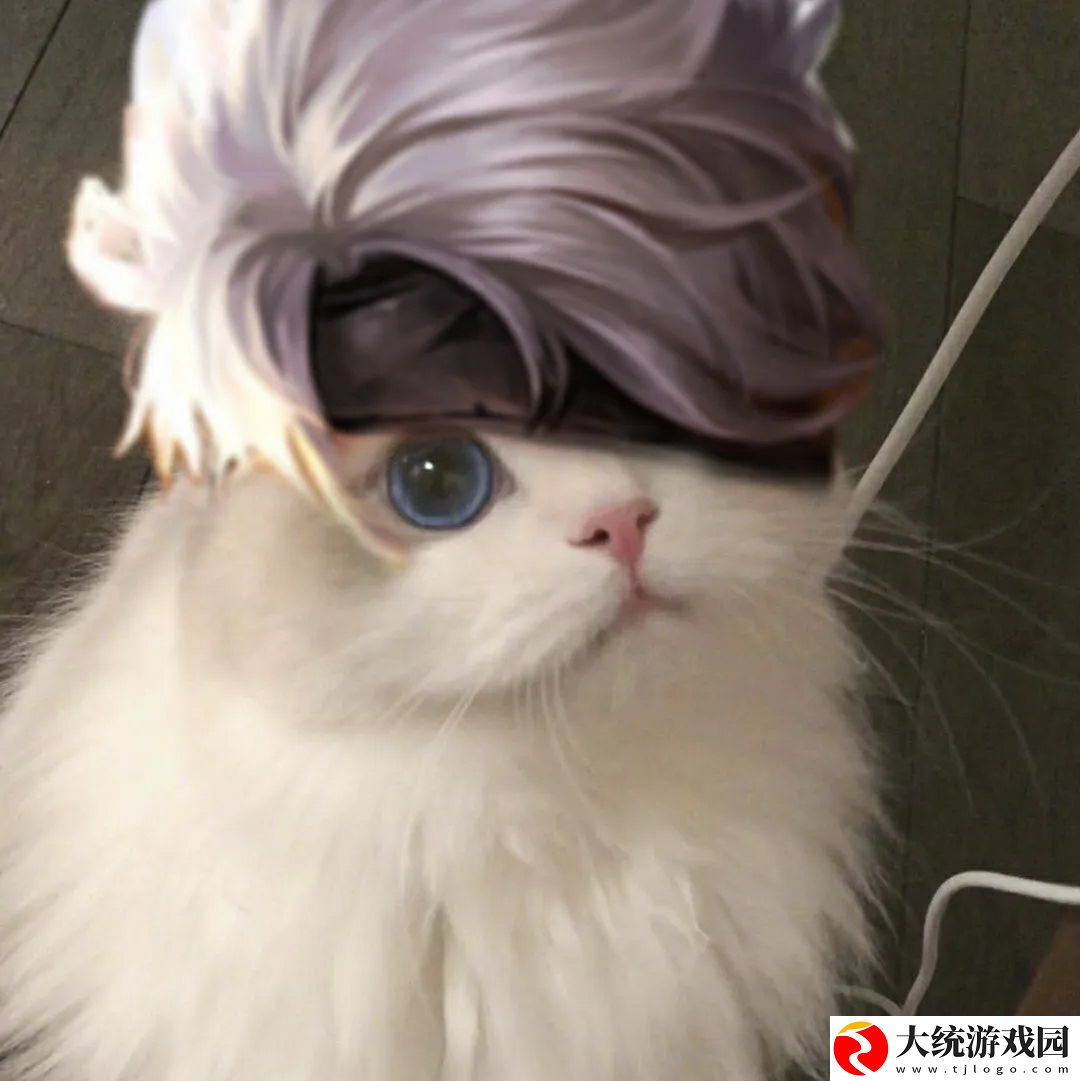 王者荣耀五黑头像猫咪