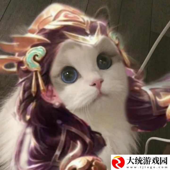 王者荣耀五黑头像猫咪