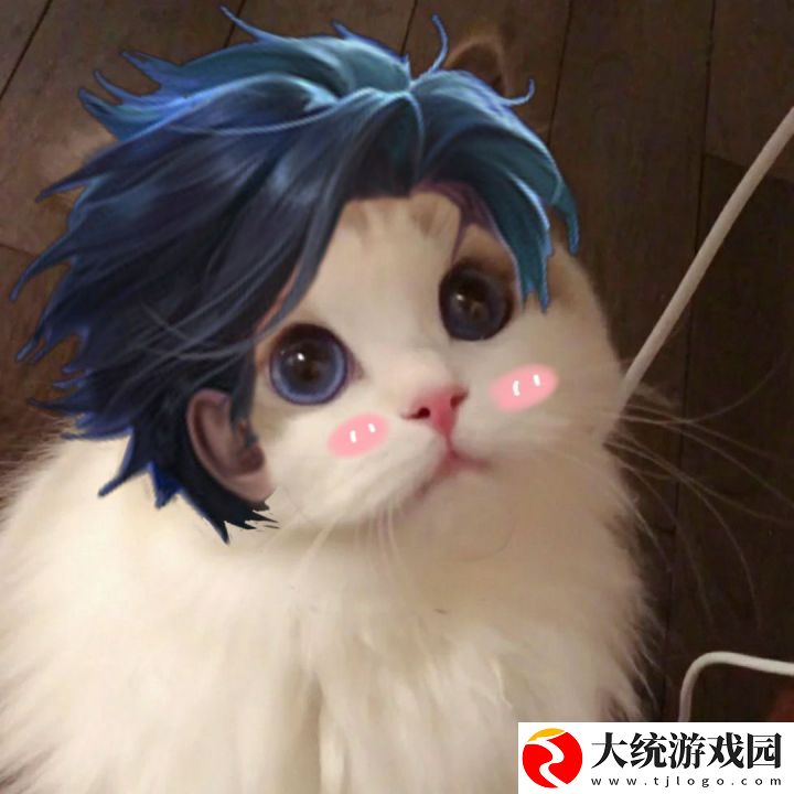 王者荣耀五黑头像猫咪