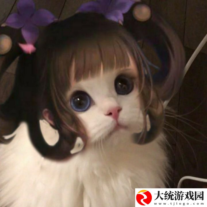 王者荣耀五黑头像猫咪