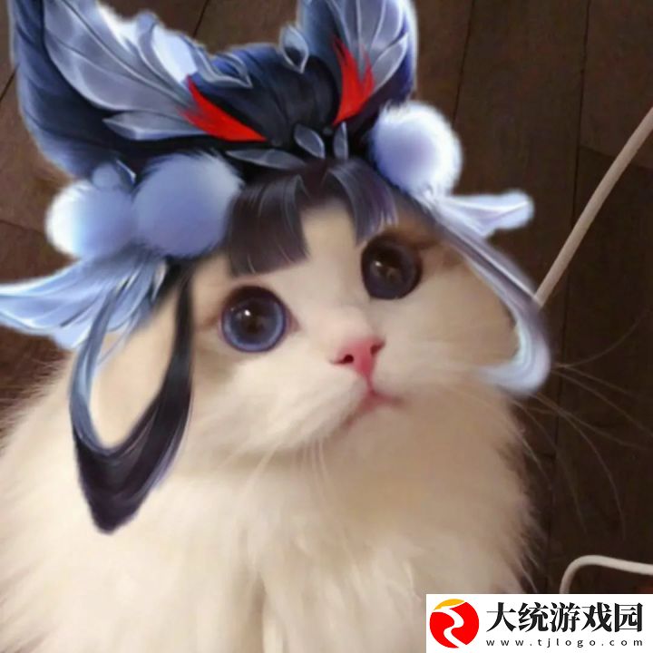 王者荣耀五黑头像猫咪