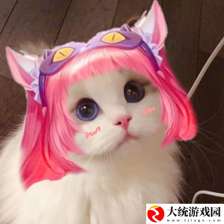 王者荣耀五黑头像猫咪