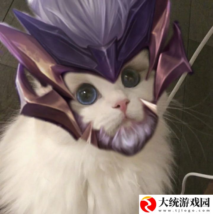 王者荣耀五黑头像猫咪