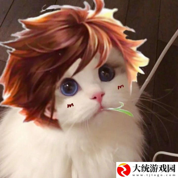 王者荣耀五黑头像猫咪